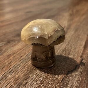 Mushroom Agate